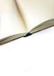 Opened book design with blank pages