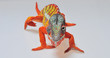 Chameleon