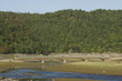 Aseler Brücke