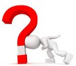 stupid questions