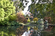 Lake in autumn