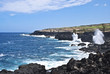 Souffleur ile de la réunion