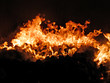 fire in stove