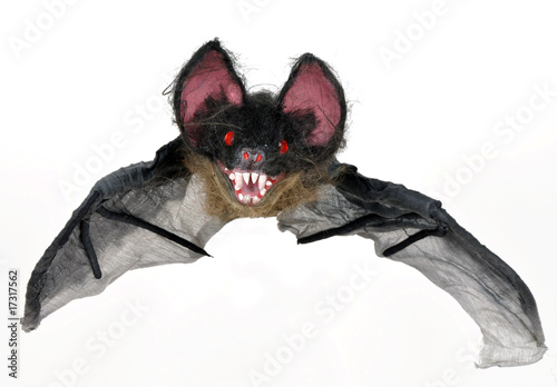 Photo: Halloween bat Halloween bat