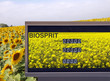 Biosprit