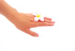 Photo: Hand with flower Hand with flower