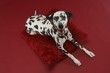 Dalmatian Dog on Pillow