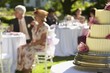 wedding party in garden
