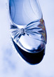 Silver shoe