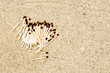 Matchsticks