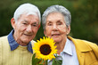 Photo: elderly couple with a sunflower elderly couple with a sunflower
