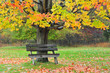 Photo: Antique Wooden bench under Autumn Trees Antique Wooden bench under Autumn Trees
