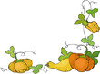 Vector: Vintage vignette with pumpkins Vintage vignette with pumpkins