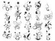 Nature - vecteurs de fleurs
