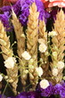 Gypsophile et compagnie