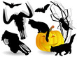 halloween set