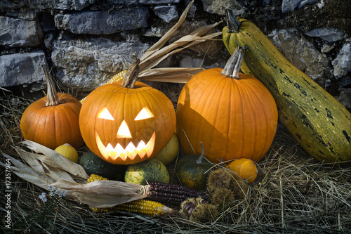 Photo: Halloween Halloween