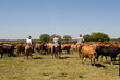 Gauchos in Paraguay Gauchos in Paraguay