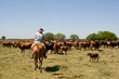 Gaucho in Paraguay Gaucho in Paraguay