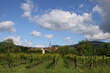 Dorf und Weinberge