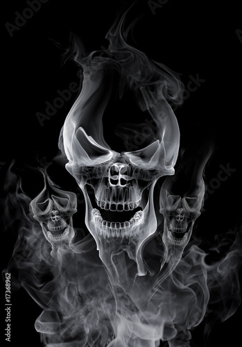 Illustration: Skull Skull