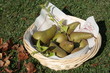 poire