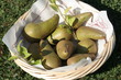 poire