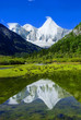Snow Mountain