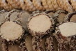 cookies I