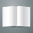 Vector blank magazine spread. Editable. No mesh.