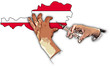 pandemic austria