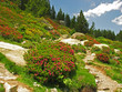 Hautes Pyrénées et Pyrénées Orientales Hautes Pyrénées et Pyrénées Orientales