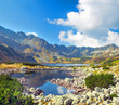 Mountains landscape