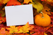 Blank Card