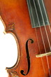 Part of violin on white background.