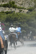 Caballos 07