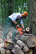Lumberjack with protective clothing
