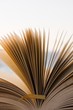 Livre ouvert