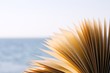 Livre ouvert