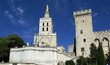 Palais des papes