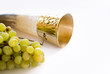 horn and vine
