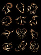 Zodiac star sign,gold