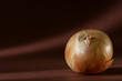 Zwiebel