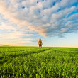 man on green field under sunset skies