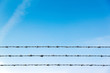 Barb wire