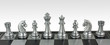 Chess Reunion