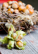 Hazelnuts with leafs