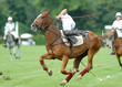 Action Polo  5-7