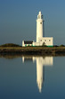 Reflected Light House