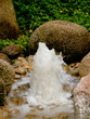 Water Fountain